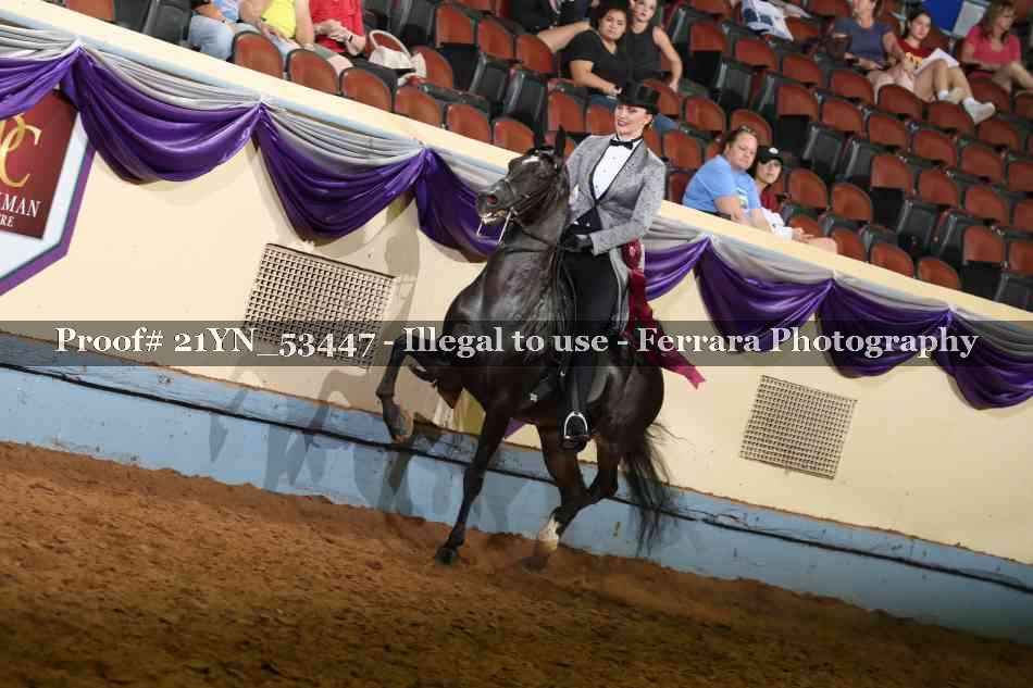 Proof 21YN_53447