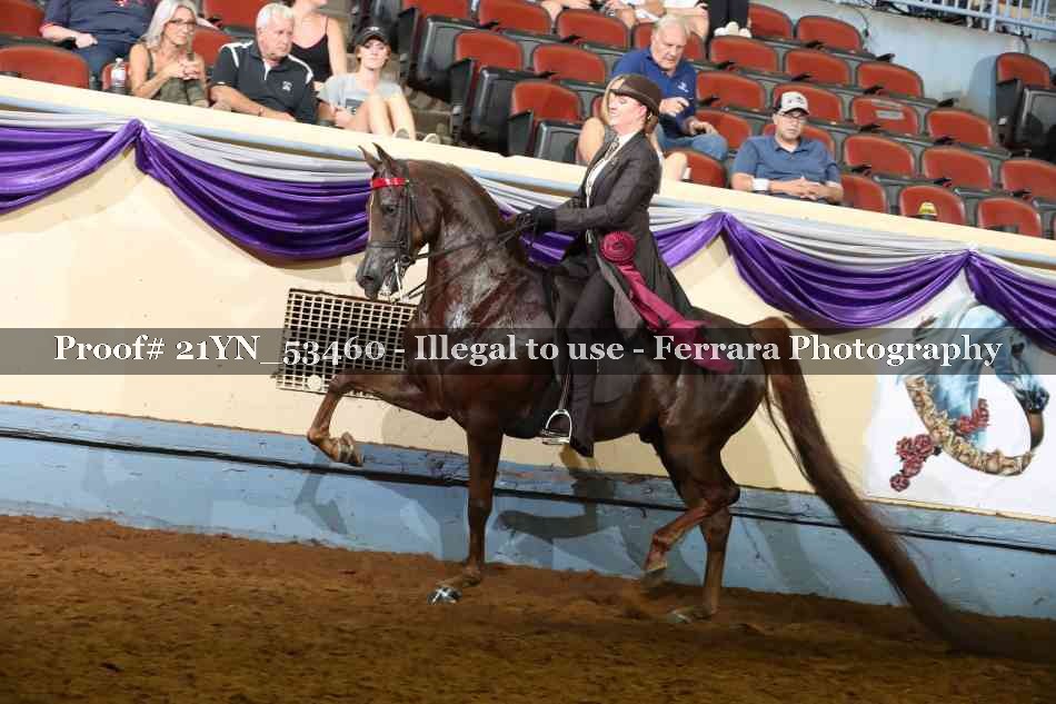 Proof 21YN_53460