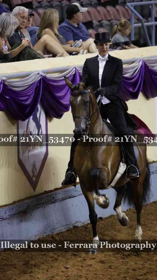Proof 21YN_53470