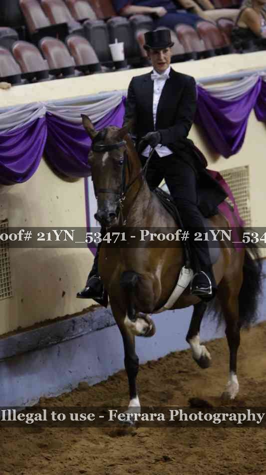 Proof 21YN_53471