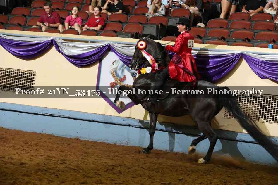 Proof 21YN_53475