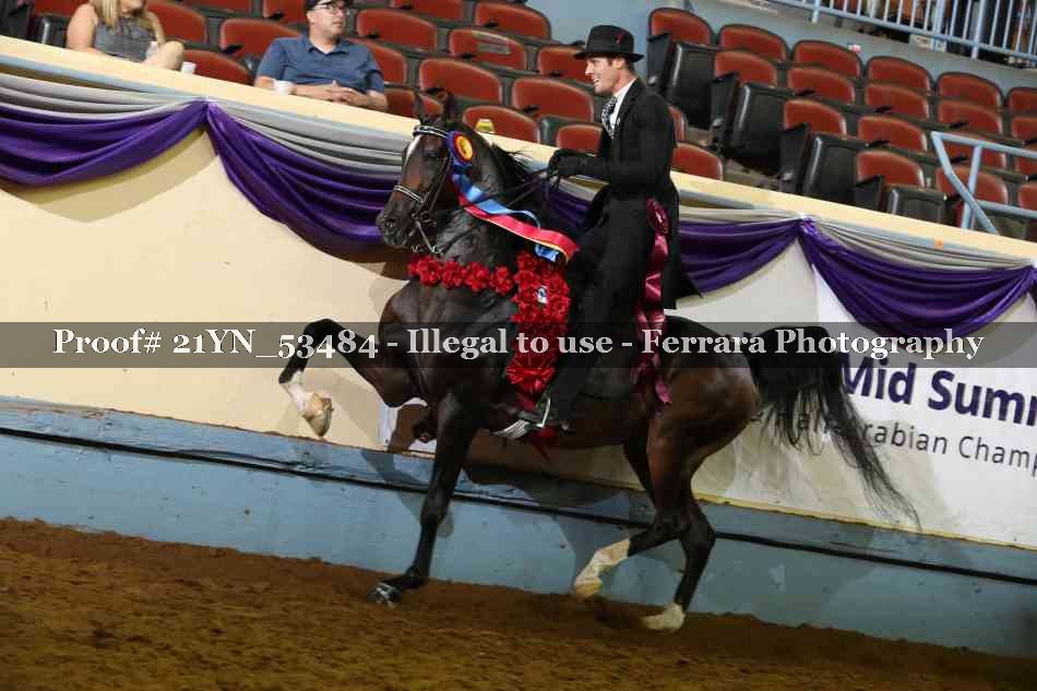 Proof 21YN_53484