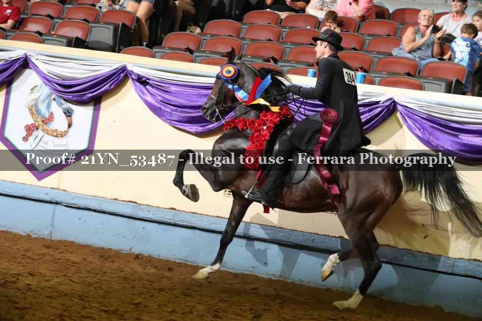 Proof 21YN_53487