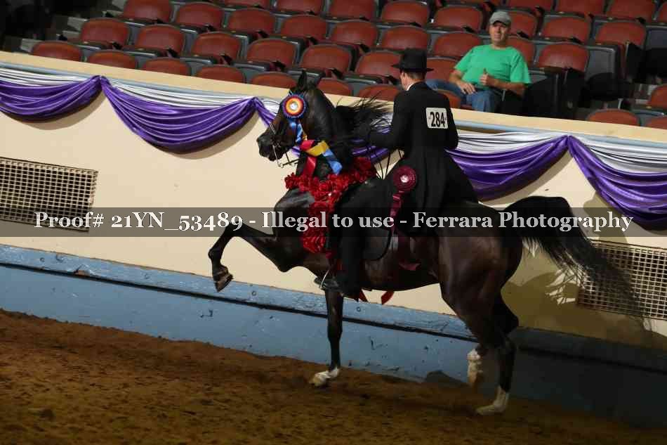 Proof 21YN_53489