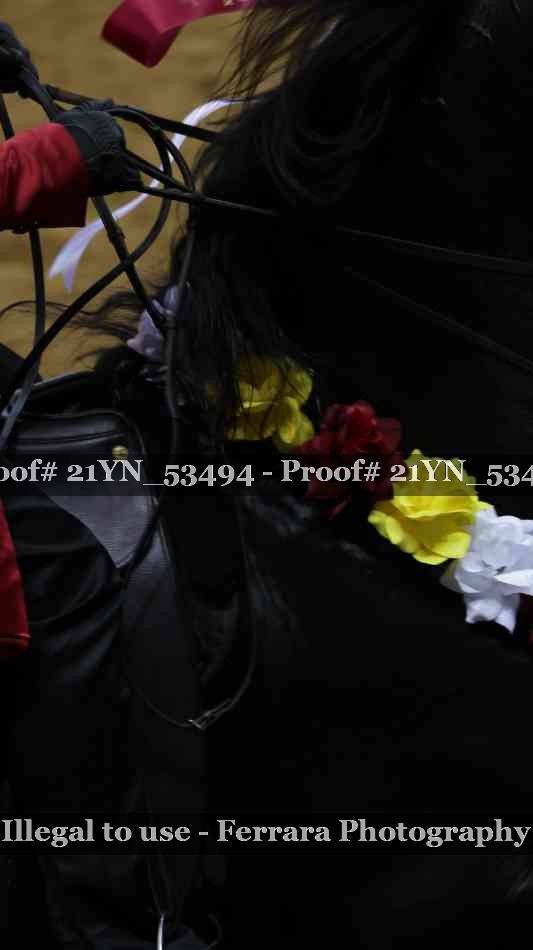 Proof 21YN_53494
