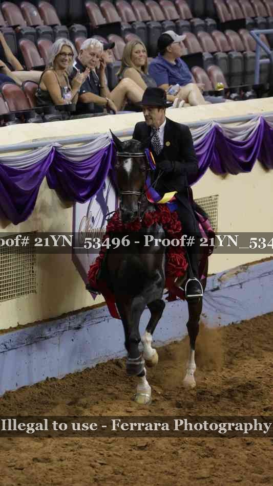 Proof 21YN_53496