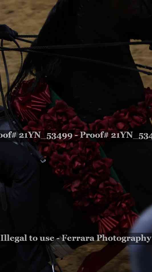 Proof 21YN_53499
