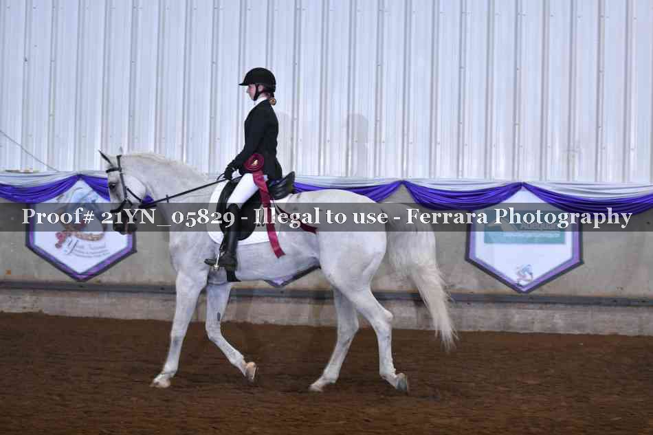 Proof 21YN_05829
