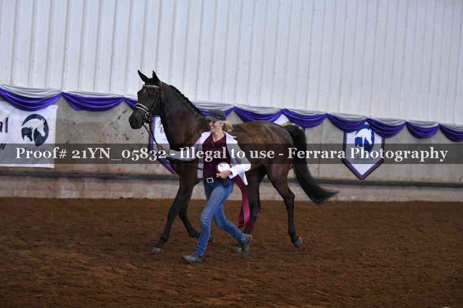 Proof 21YN_05832