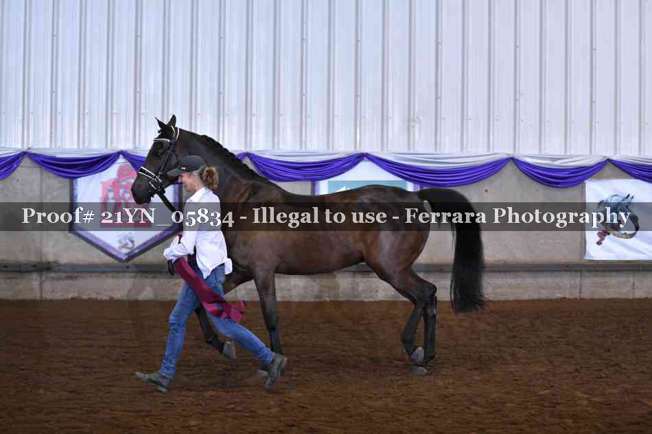 Proof 21YN_05834