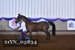 21YN_05834 proof