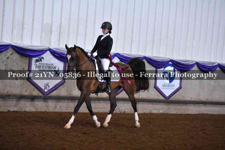 Proof 21YN_05836