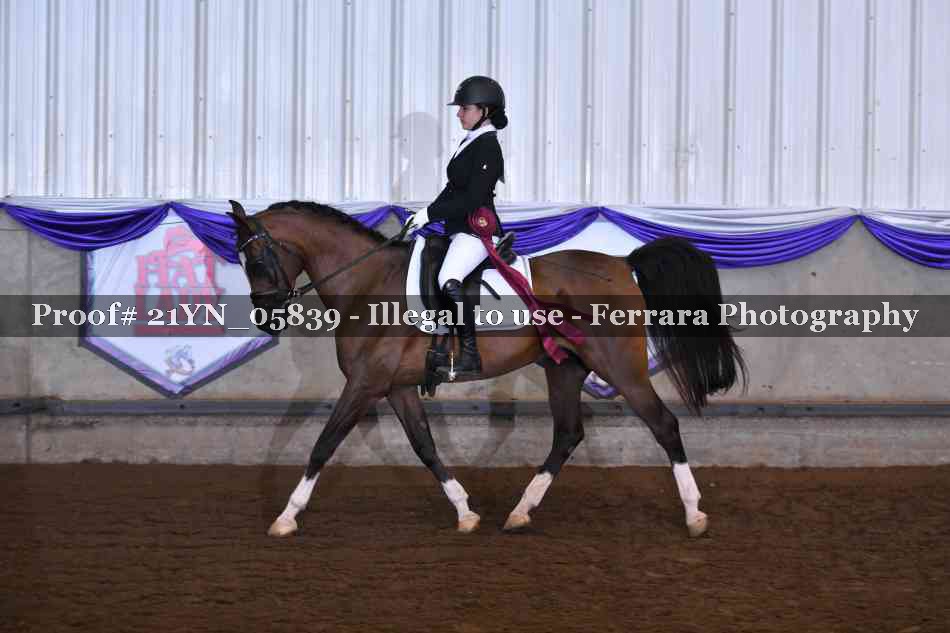 Proof 21YN_05839