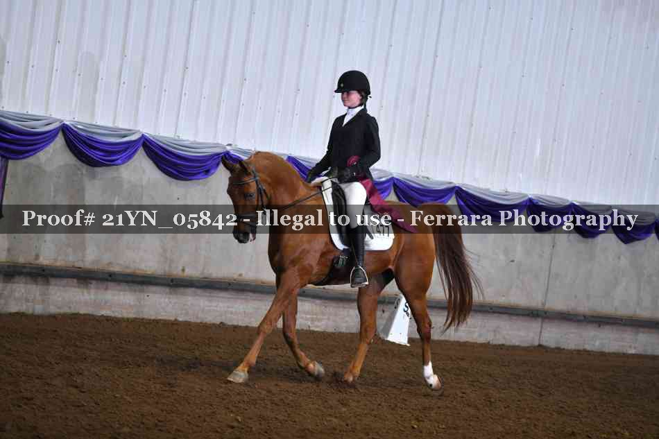 Proof 21YN_05842