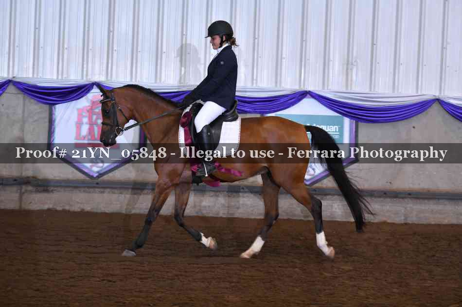Proof 21YN_05848