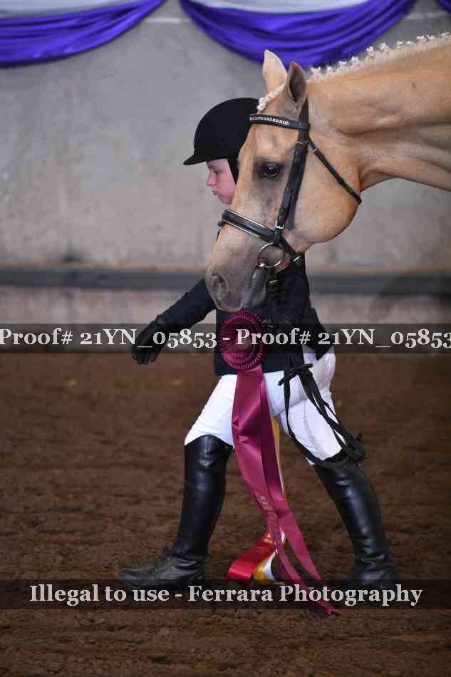 Proof 21YN_05853