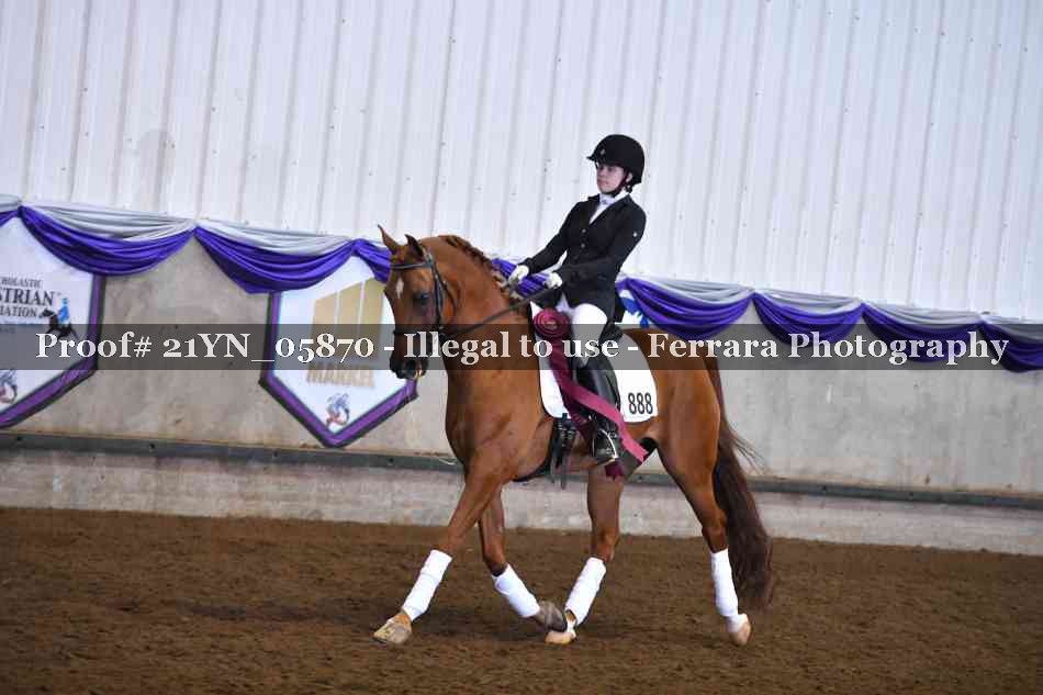 Proof 21YN_05870