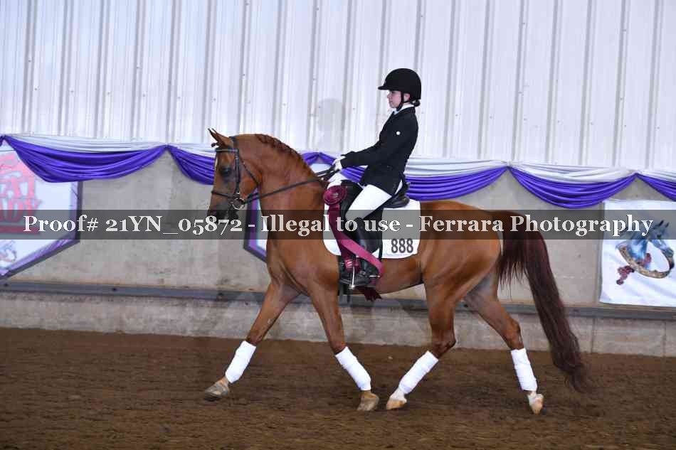 Proof 21YN_05872