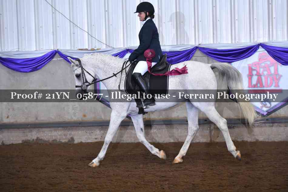 Proof 21YN_05877