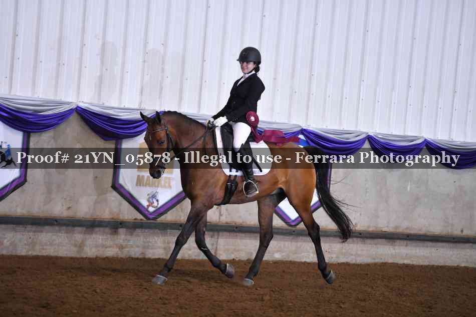 Proof 21YN_05878