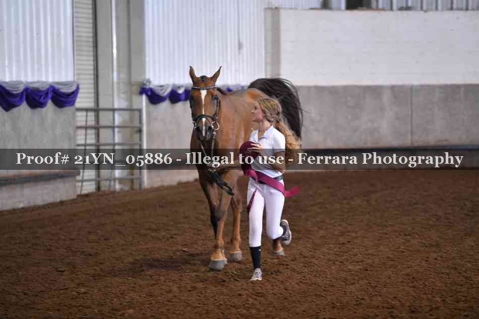 Proof 21YN_05886