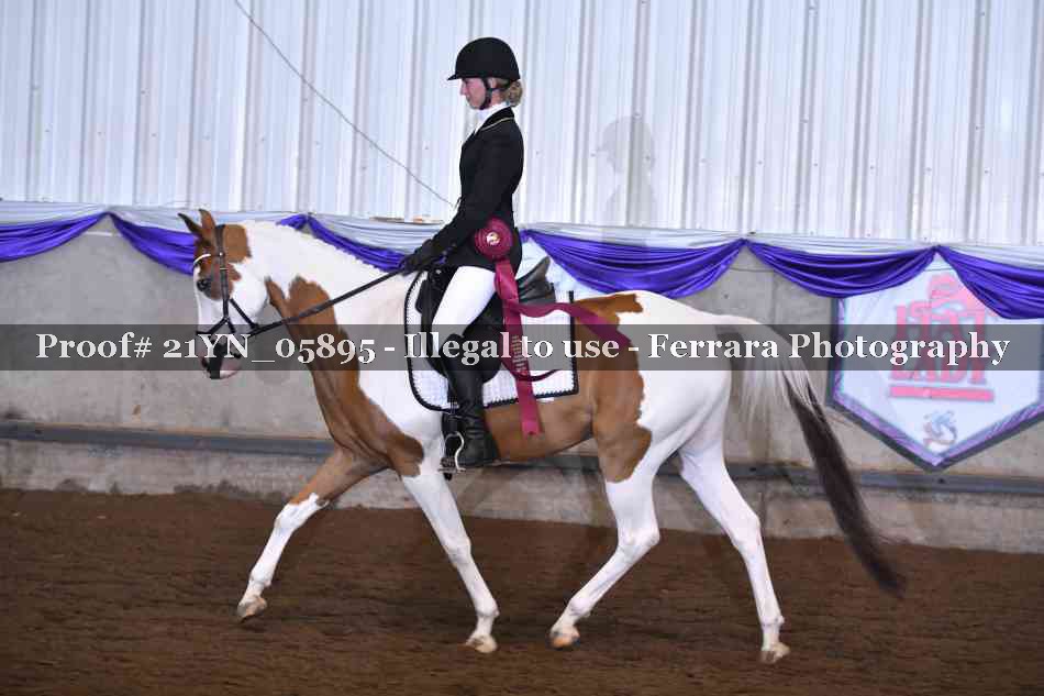Proof 21YN_05895
