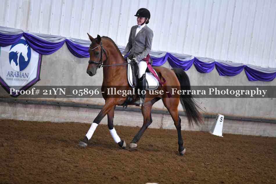Proof 21YN_05896