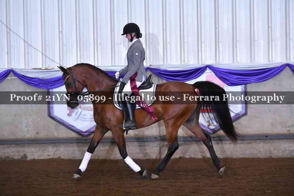 Proof 21YN_05899