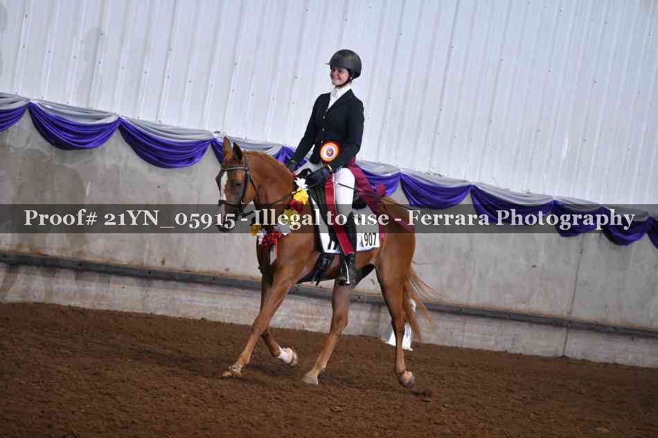 Proof 21YN_05915