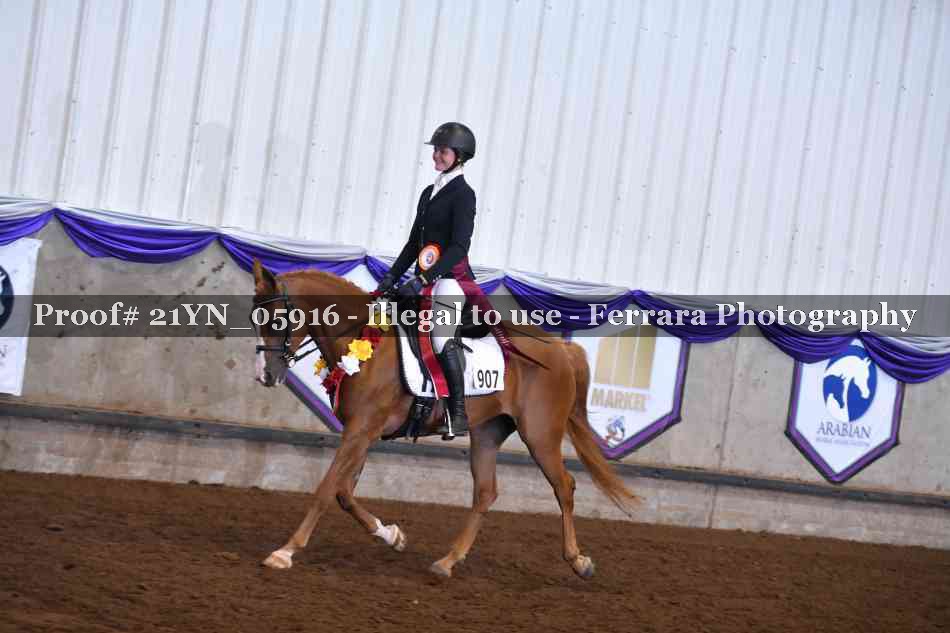 Proof 21YN_05916