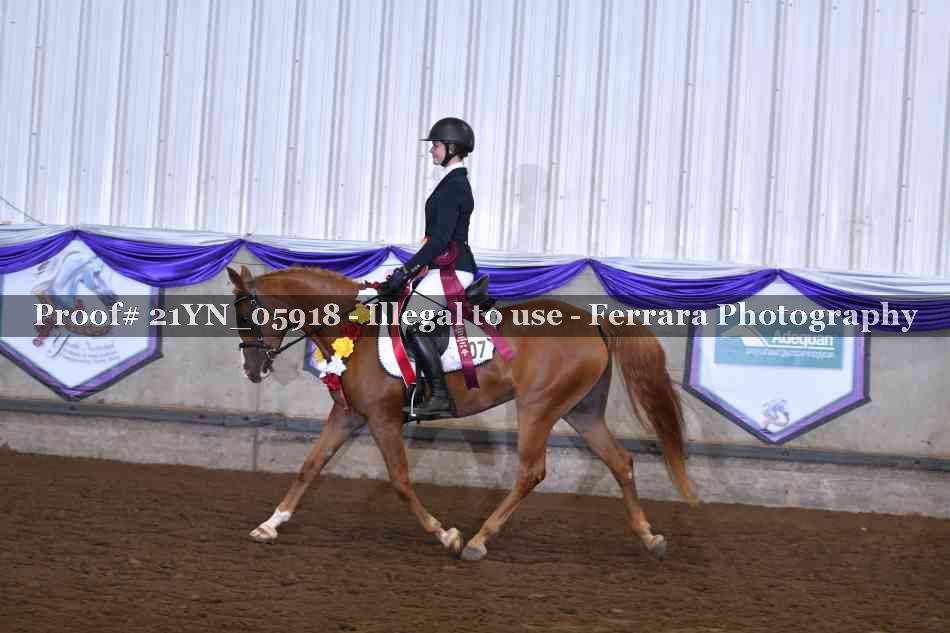 Proof 21YN_05918