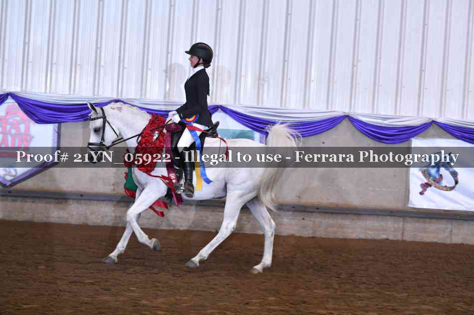Proof 21YN_05922
