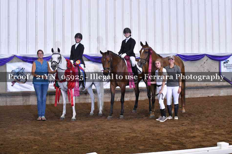 Proof 21YN_05925