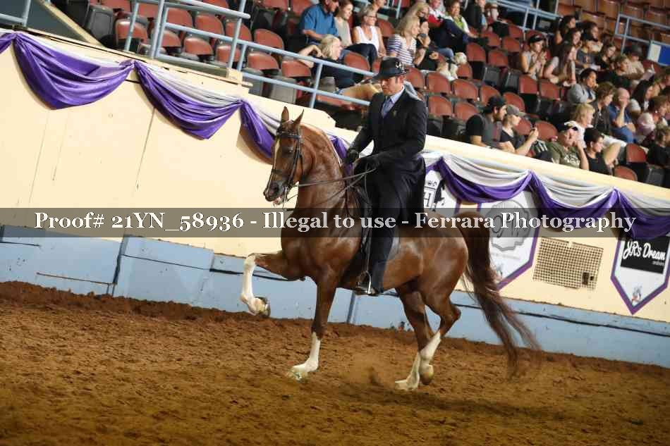 Proof 21YN_58936