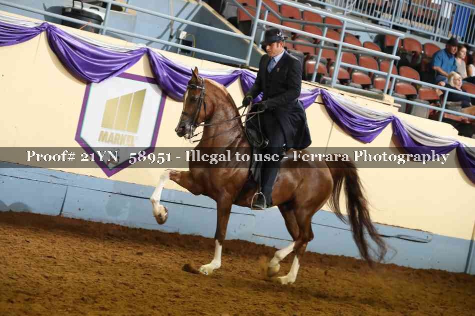 Proof 21YN_58951