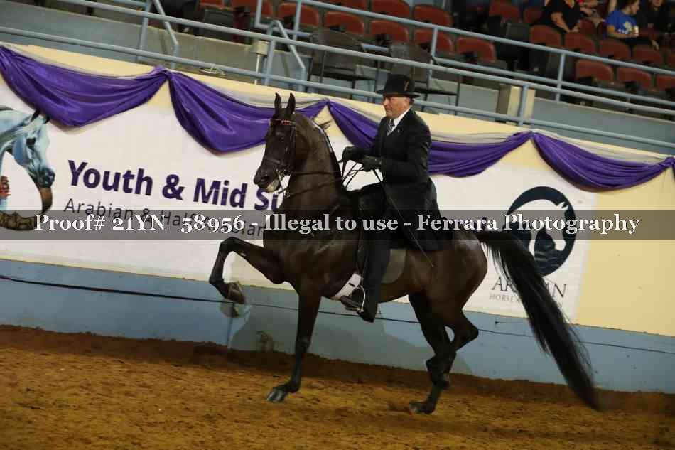 Proof 21YN_58956