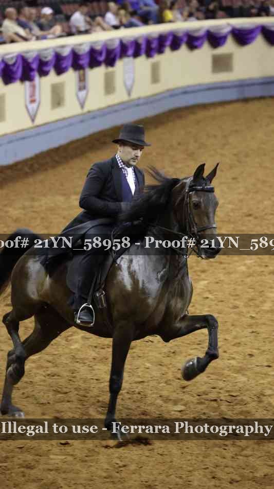 Proof 21YN_58958