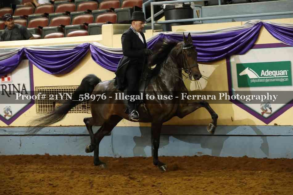 Proof 21YN_58976