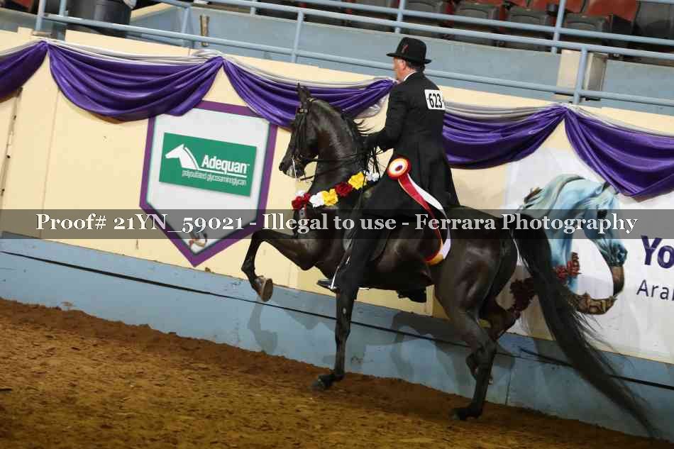 Proof 21YN_59021