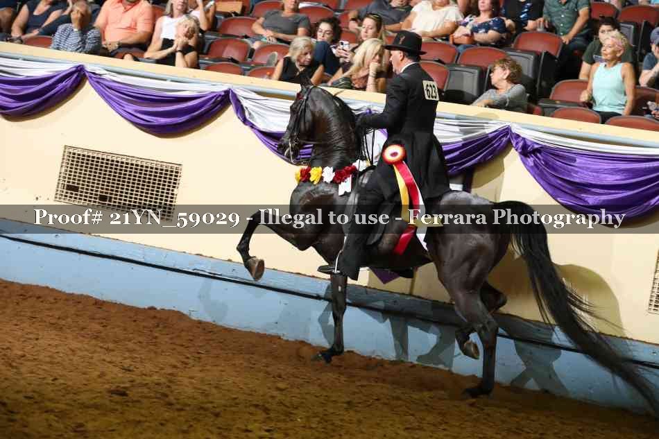 Proof 21YN_59029
