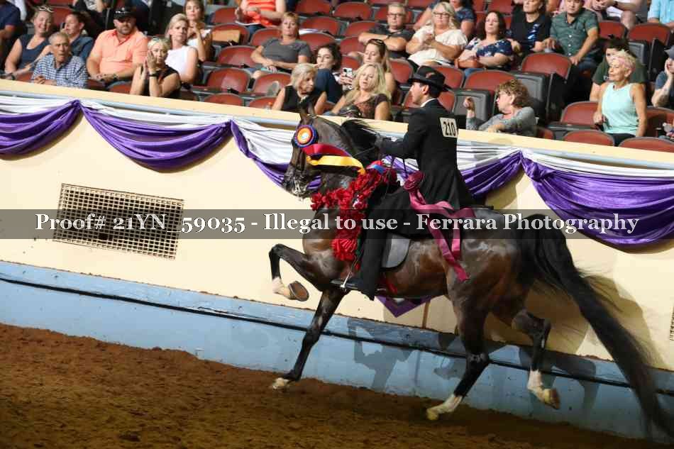 Proof 21YN_59035
