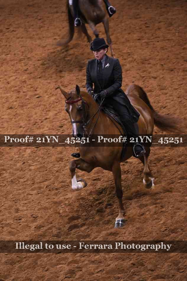 Proof 21YN_45251