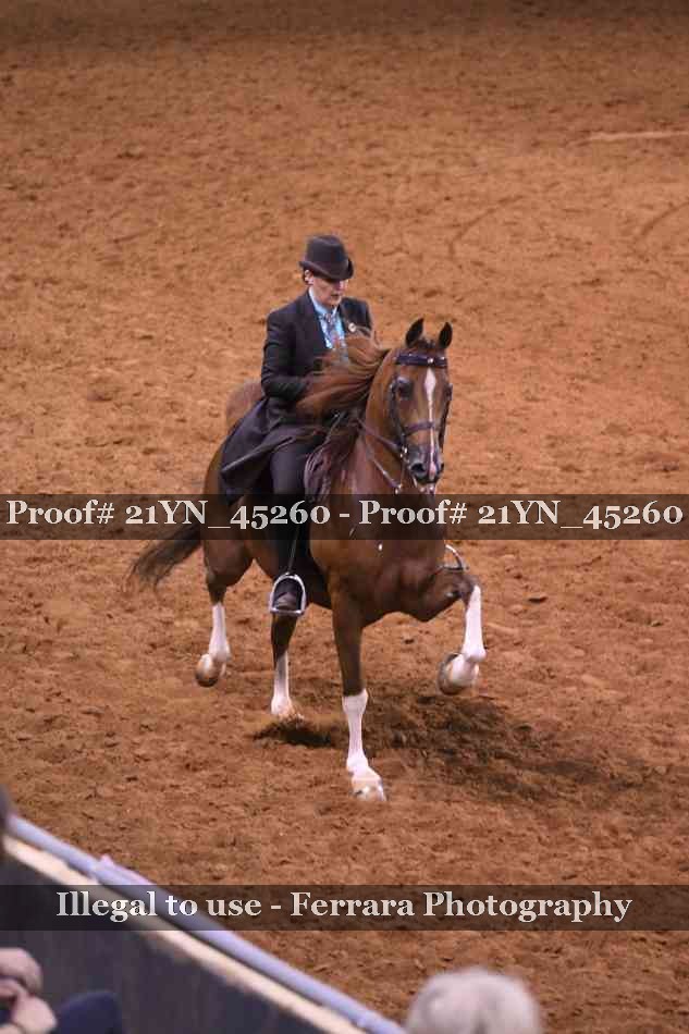 Proof 21YN_45260