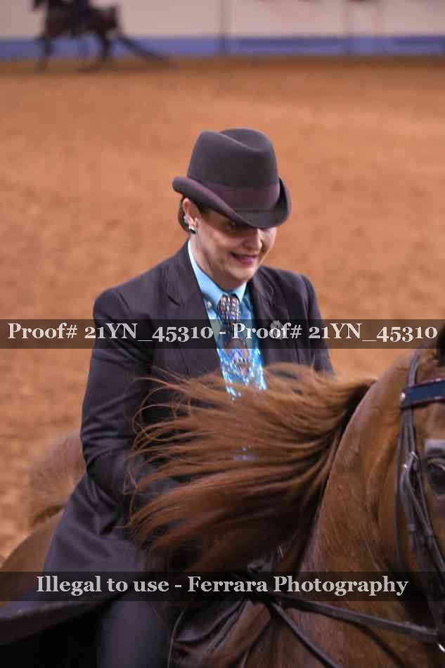 Proof 21YN_45310