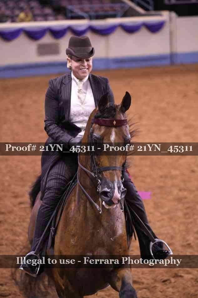 Proof 21YN_45311