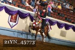 21YN_45773 proof