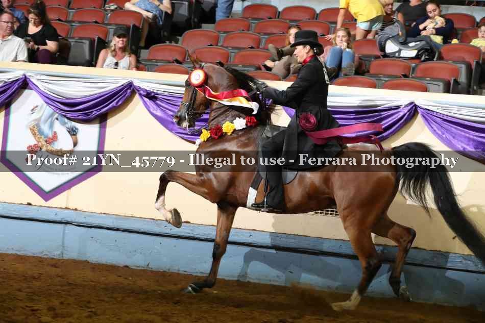 Proof 21YN_45779