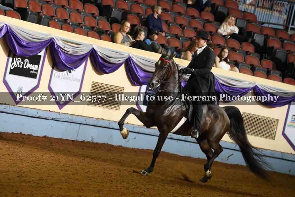 Proof 21YN_62577