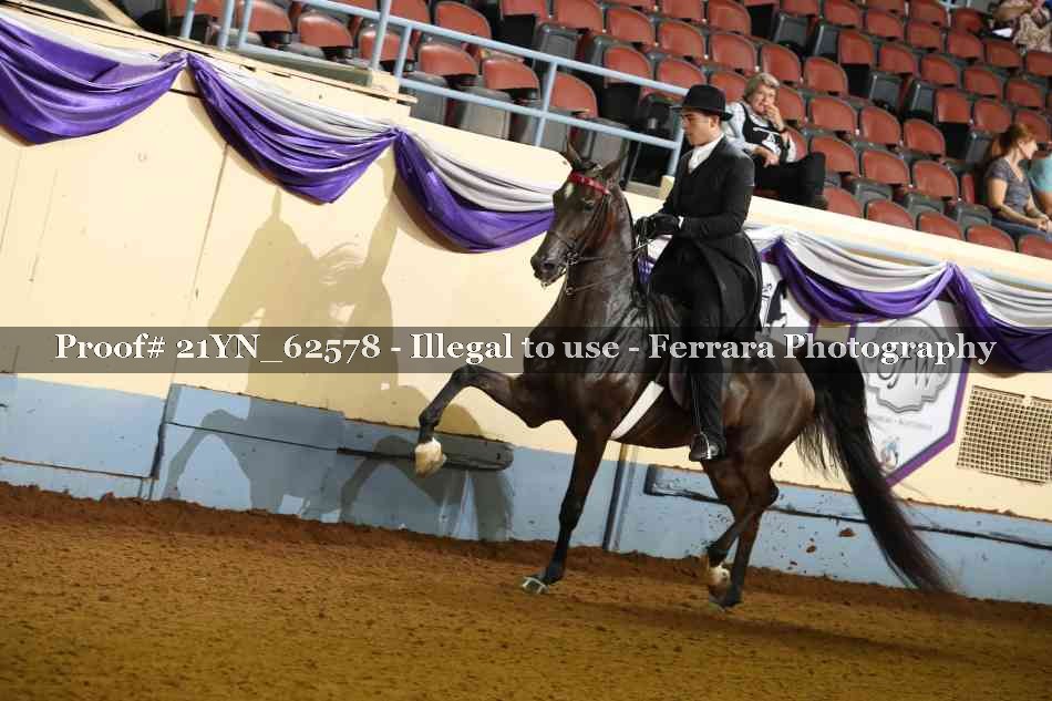 Proof 21YN_62578
