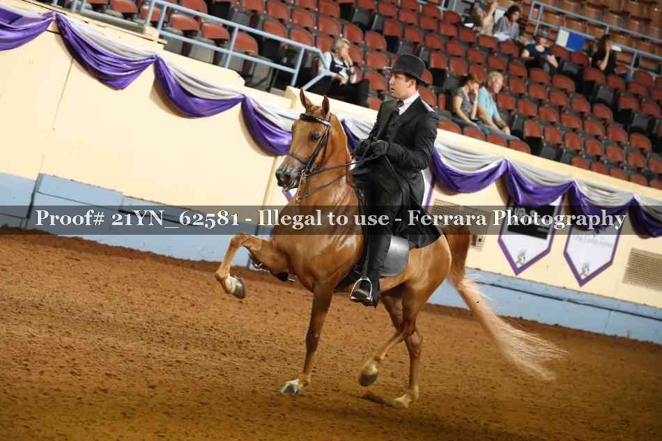Proof 21YN_62581